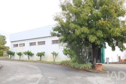 Loja para Venda em Sarnadas de Rodão