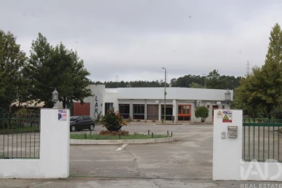 Loja para Venda em Sarnadas de Rodão