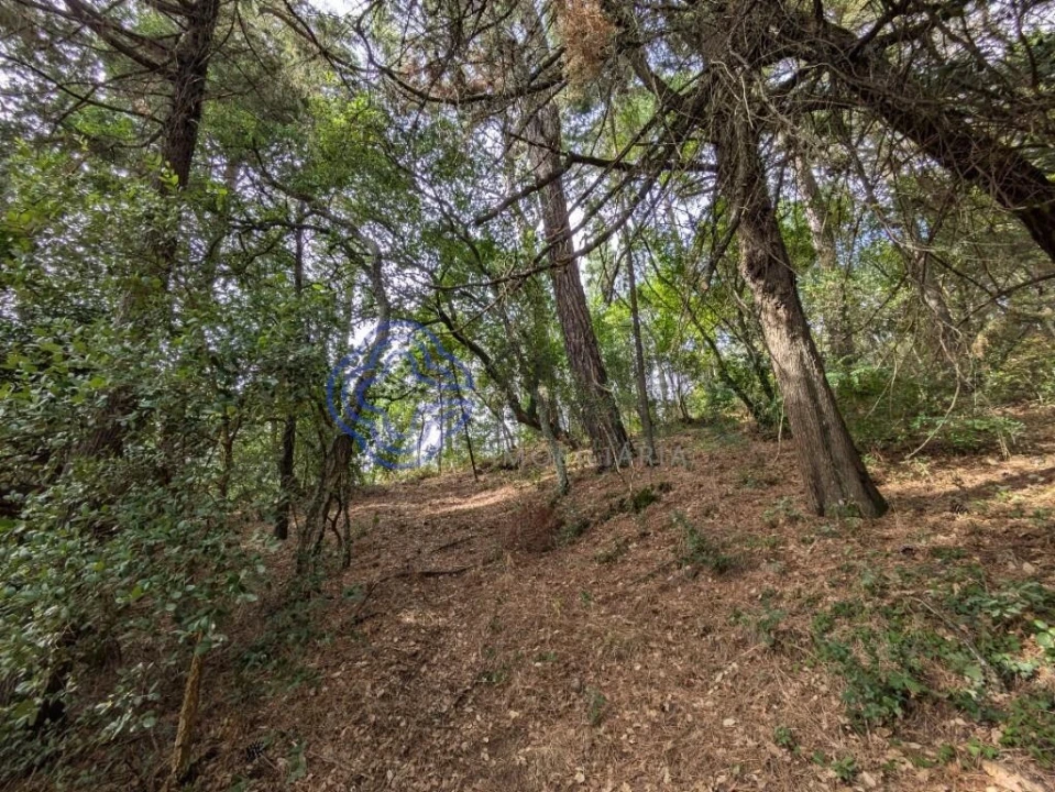 Moradia T8 para Venda em São Cipriano e Vil de Souto Foto 68