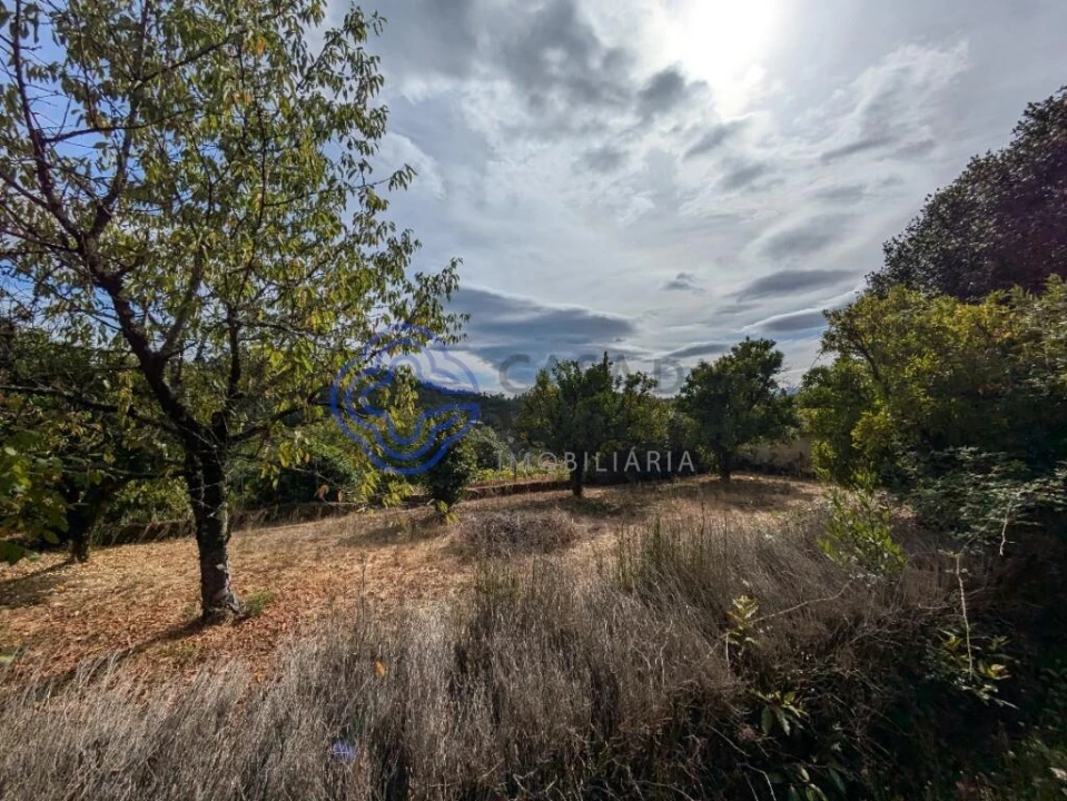 Moradia T8 para Venda em São Cipriano e Vil de Souto Foto 66