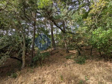 Moradia T8 para Venda em São Cipriano e Vil de Souto