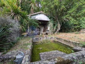 Moradia T8 para Venda em São Cipriano e Vil de Souto