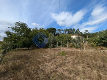 Moradia T8 para Venda em São Cipriano e Vil de Souto