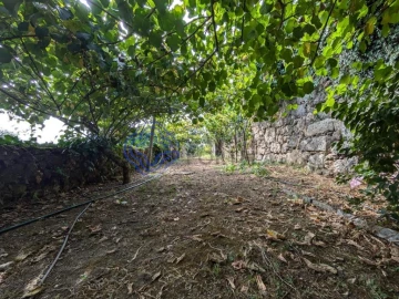 Moradia T8 para Venda em São Cipriano e Vil de Souto