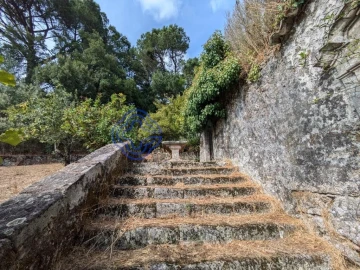 Moradia T8 para Venda em São Cipriano e Vil de Souto