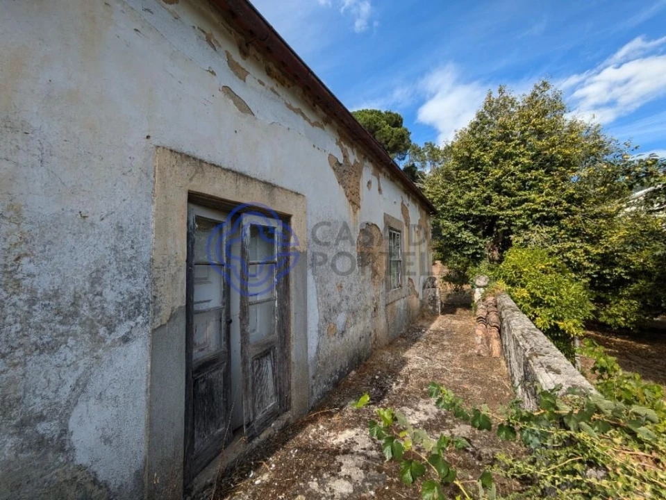 Moradia T8 para Venda em São Cipriano e Vil de Souto Foto 7