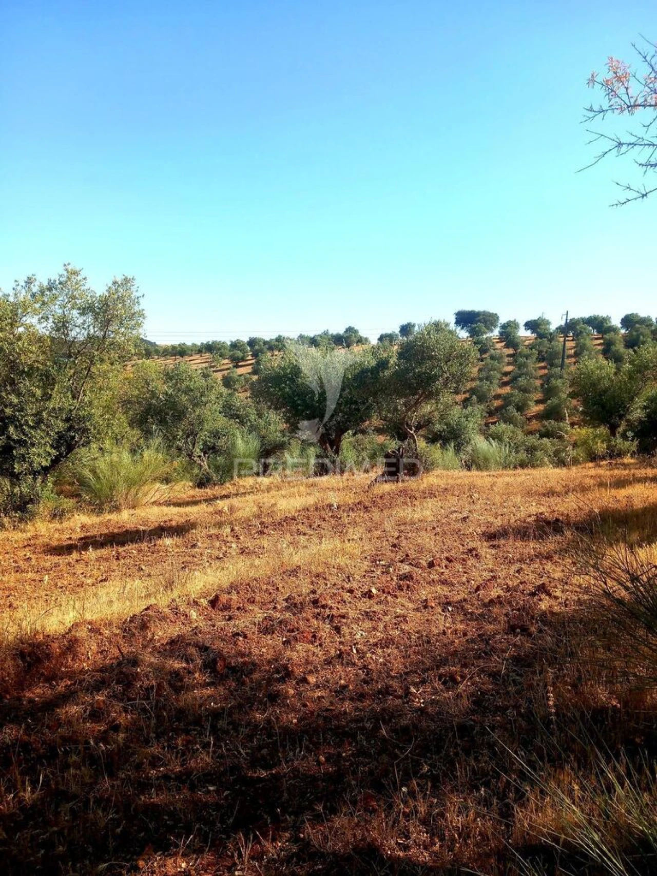 Terreno para Venda em Capelins (Santo Antonio) Foto 13