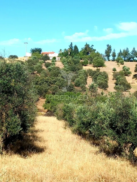 Terreno para Venda em Capelins (Santo Antonio)