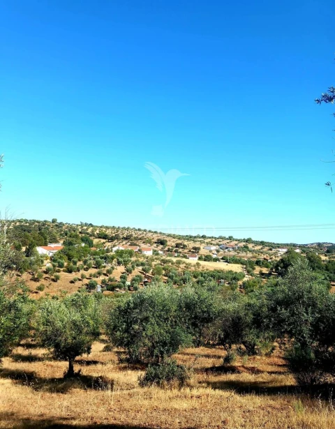 Terreno para Venda em Capelins (Santo Antonio)