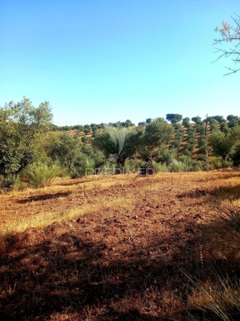 Terreno para Venda em Capelins (Santo Antonio)