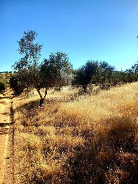 Terreno para Venda em Capelins (Santo Antonio)