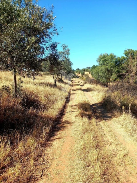 Terreno para Venda em Capelins (Santo Antonio)