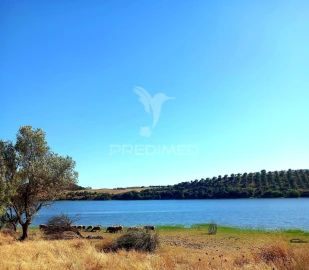 Terreno para Venda em Capelins (Santo Antonio)