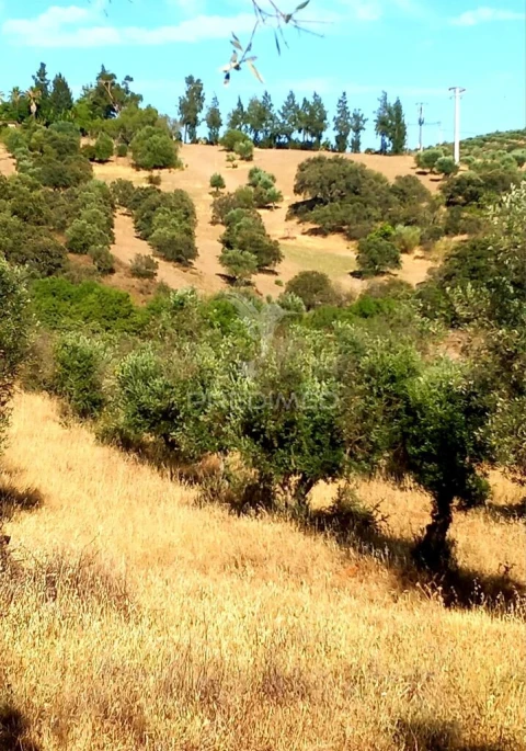 Terreno para Venda em Capelins (Santo Antonio)