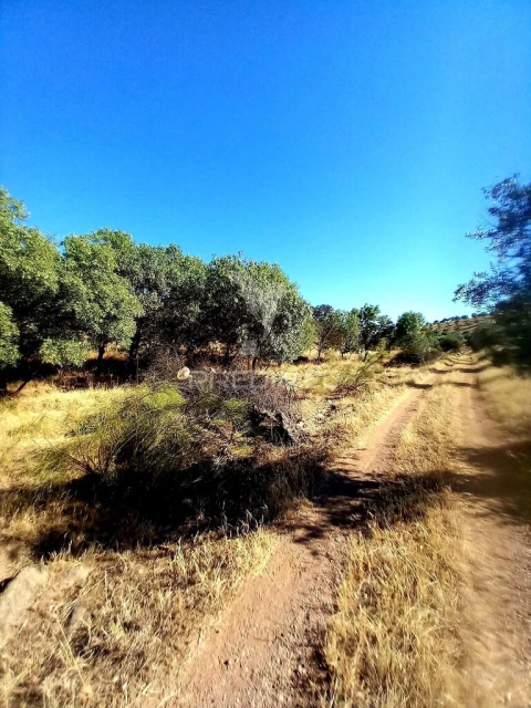 Terreno para Venda em Capelins (Santo Antonio)