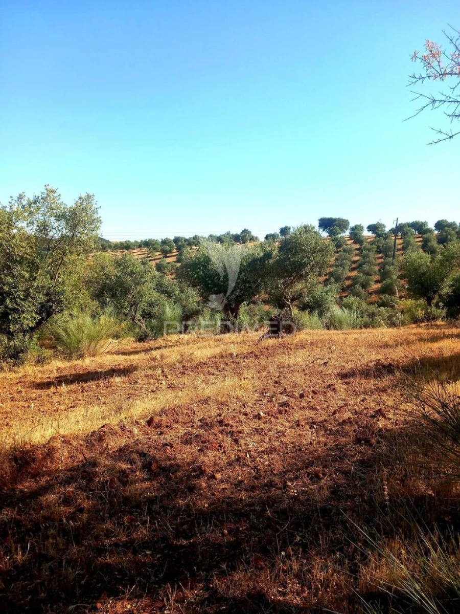 Terreno para Venda em Capelins (Santo Antonio) Foto 13