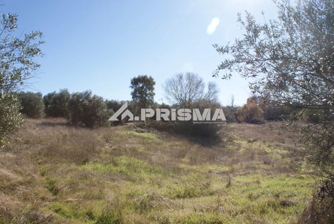 Terreno para Venda em Castelo Branco Foto 31