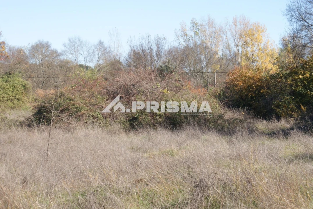 Terreno para Venda em Castelo Branco Foto 15