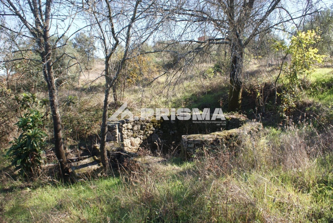 Terreno para Venda em Castelo Branco Foto 10