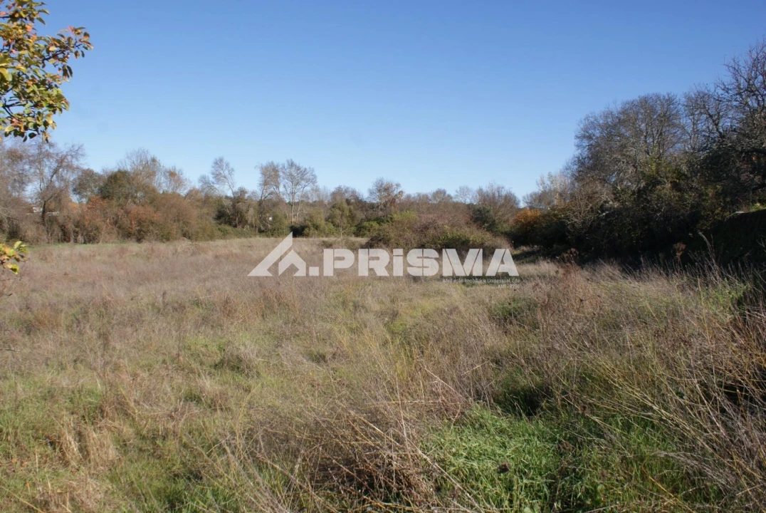 Terreno para Venda em Castelo Branco Foto 13