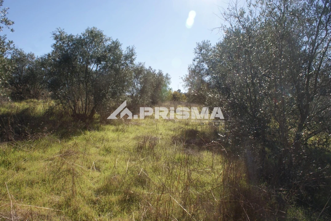 Terreno para Venda em Castelo Branco Foto 32