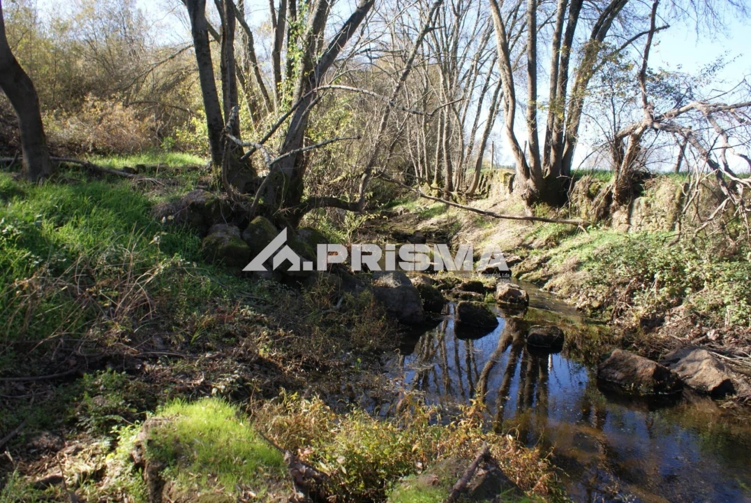 Terreno para Venda em Castelo Branco Foto 18