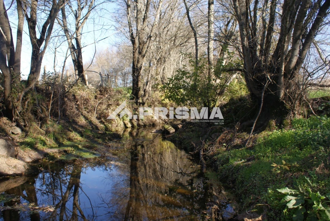 Terreno para Venda em Castelo Branco Foto 19