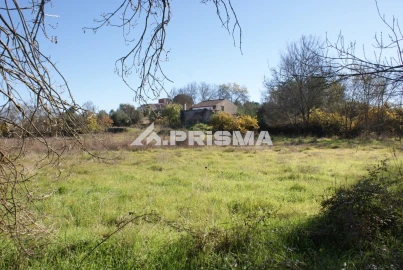 Terreno para Venda em Castelo Branco