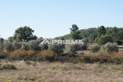 Terreno para Venda em Castelo Branco