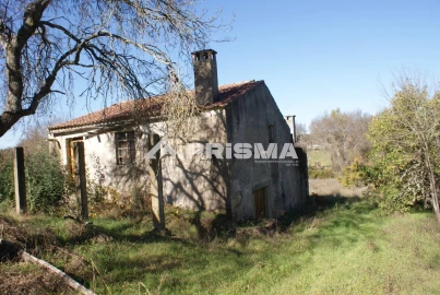 Terreno para Venda em Castelo Branco