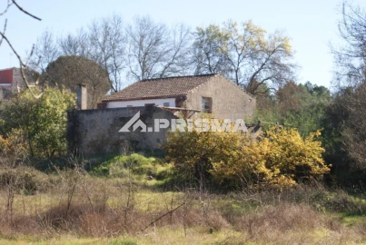 Terreno para Venda em Castelo Branco
