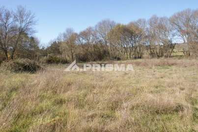 Terreno para Venda em Castelo Branco