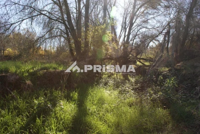 Terreno para Venda em Castelo Branco