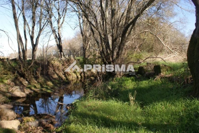 Terreno para Venda em Castelo Branco