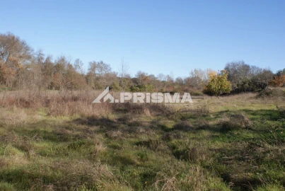 Terreno para Venda em Castelo Branco