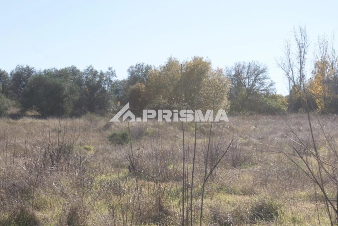 Terreno para Venda em Castelo Branco Foto 29