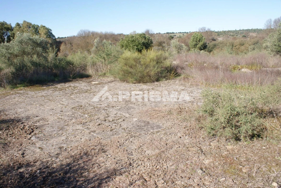 Terreno para Venda em Castelo Branco Foto 26