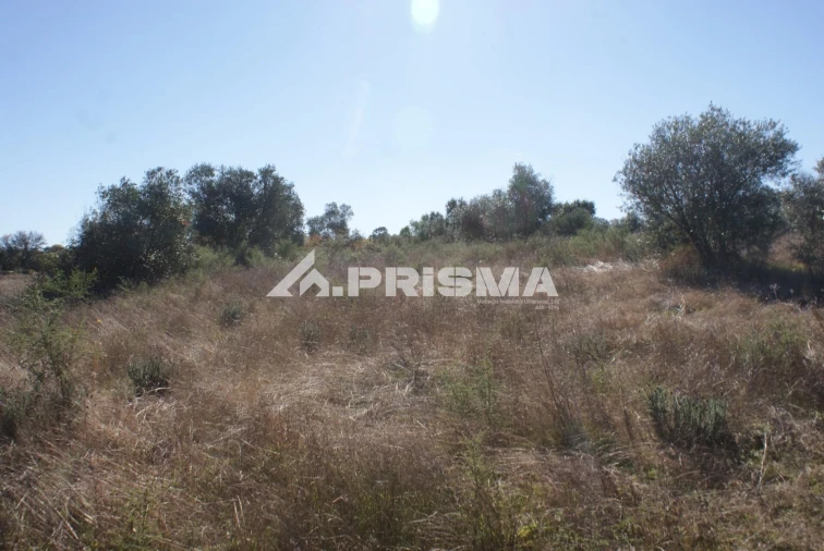 Terreno para Venda em Castelo Branco Foto 25
