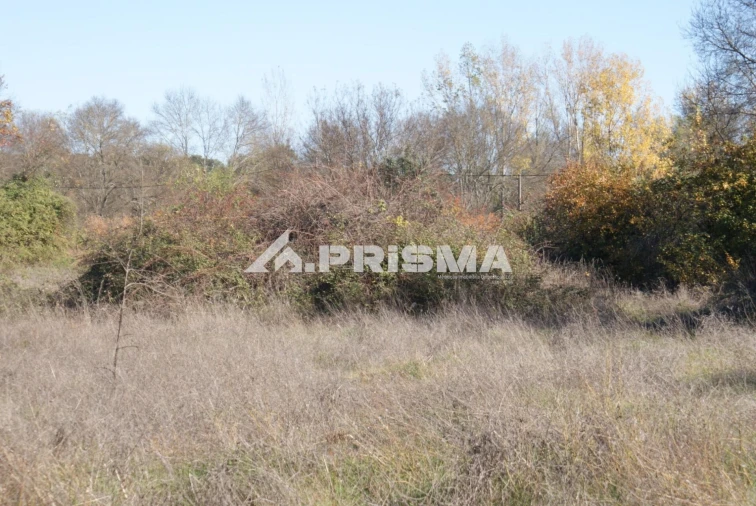 Terreno para Venda em Castelo Branco Foto 15