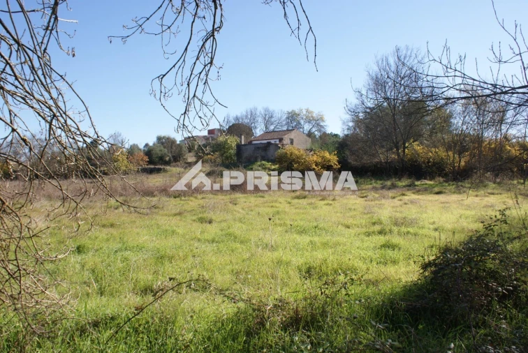 Terreno para Venda em Castelo Branco Foto 20