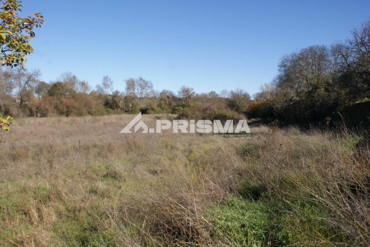 Terreno para Venda em Castelo Branco Foto 13