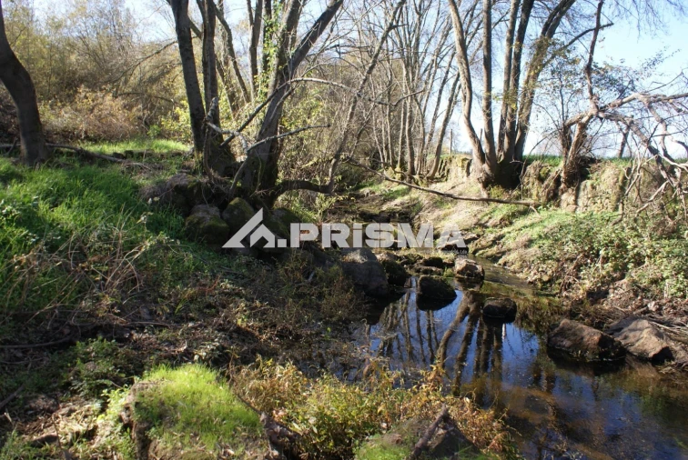 Terreno para Venda em Castelo Branco Foto 18