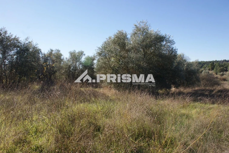 Terreno para Venda em Castelo Branco Foto 2