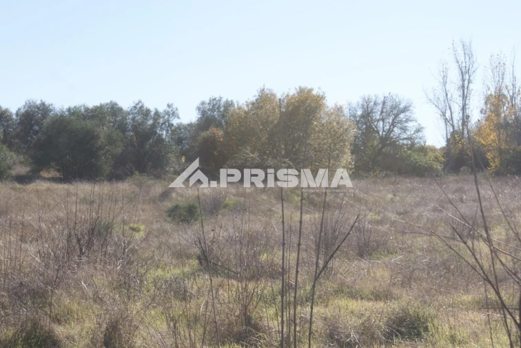 Terreno para Venda em Castelo Branco Foto 29