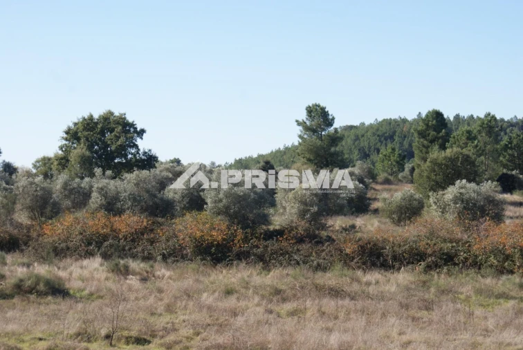 Terreno para Venda em Castelo Branco Foto 7
