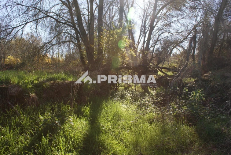Terreno para Venda em Castelo Branco Foto 17