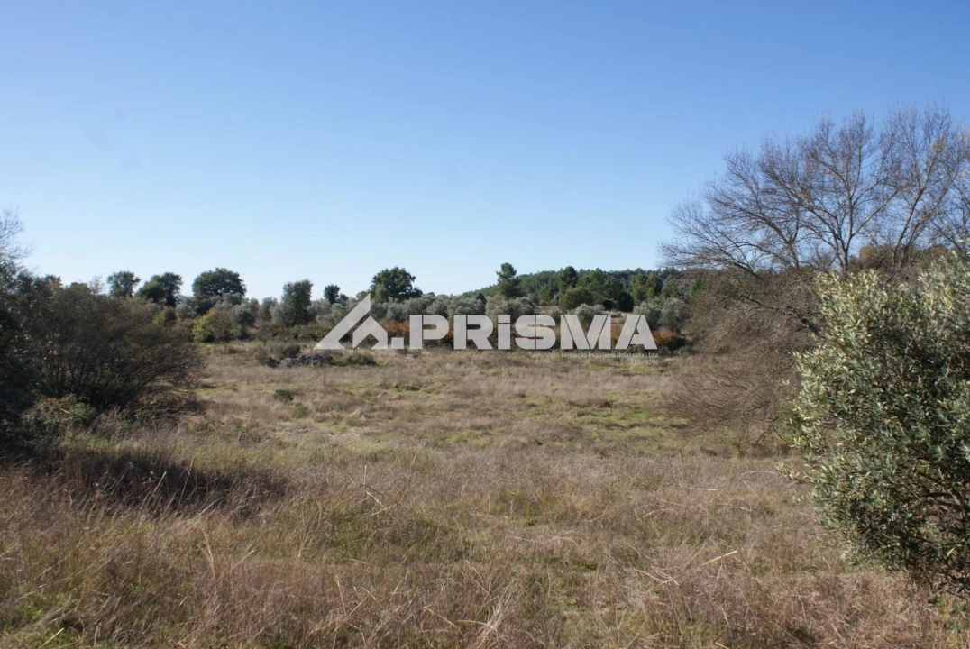 Terreno para Venda em Castelo Branco Foto 6