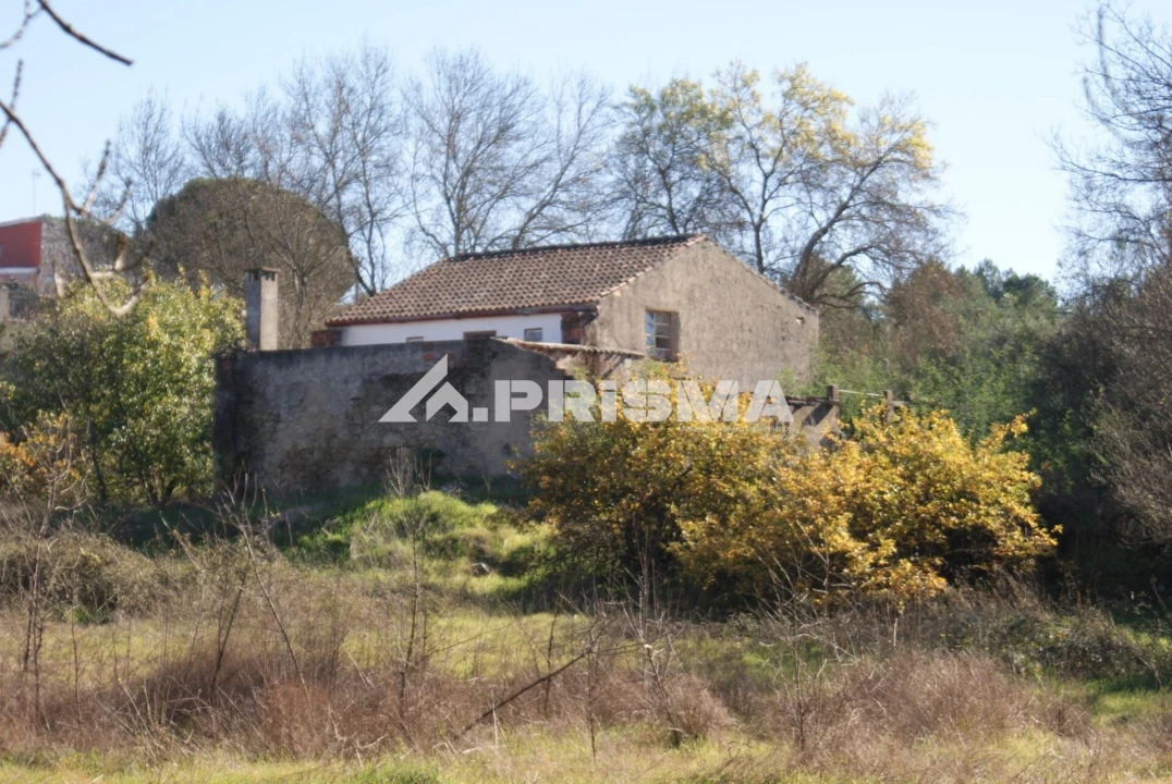 Terreno para Venda em Castelo Branco Foto 21