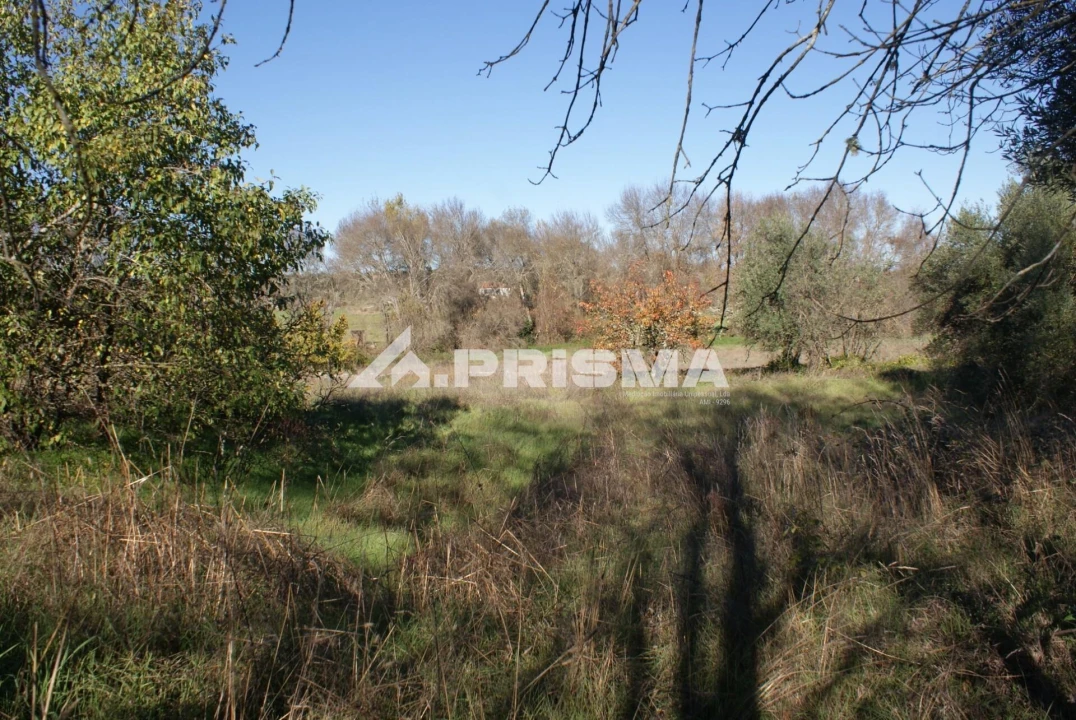 Terreno para Venda em Castelo Branco Foto 12