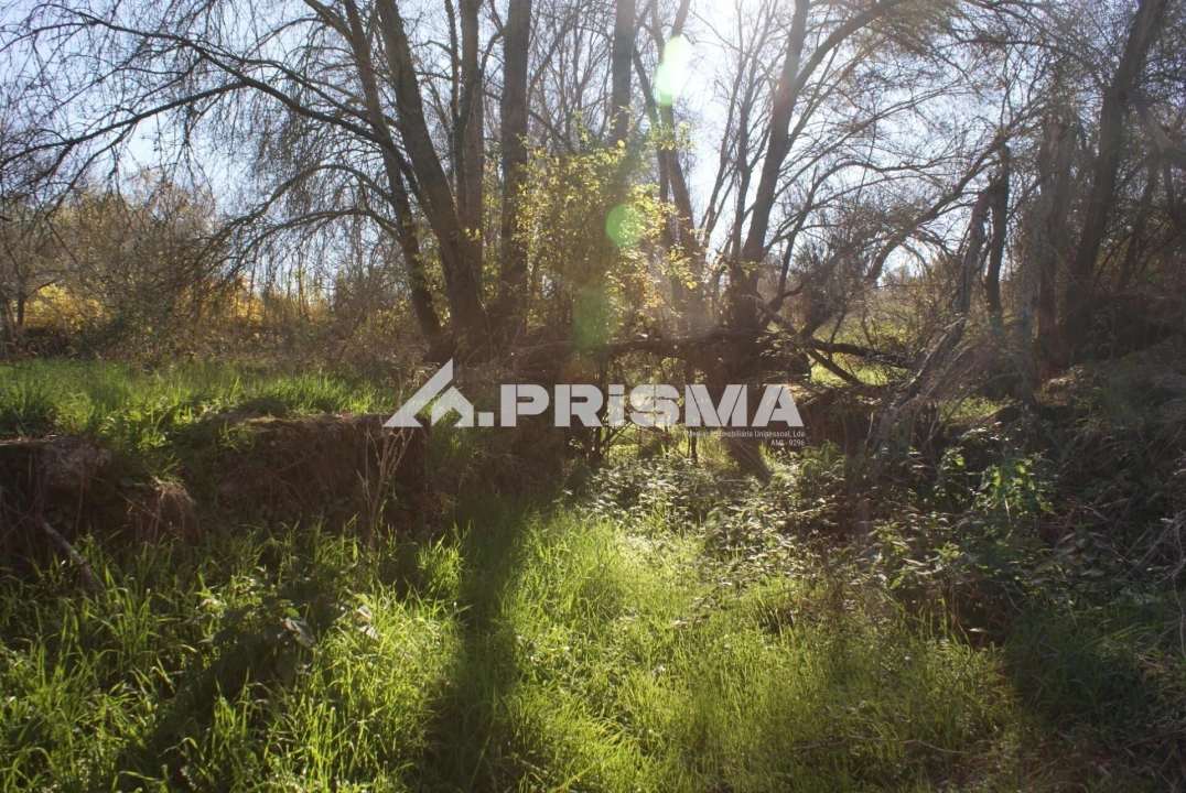 Terreno para Venda em Castelo Branco Foto 17